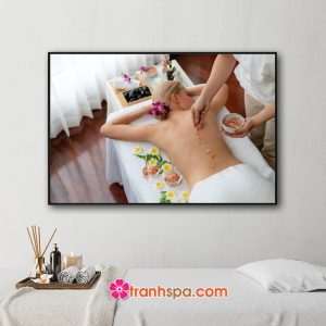 Mẫu tranh spa đẹp hình ảnh rải hỗn hợp chăm sóc làm đẹp da và massage thư giãn lưng