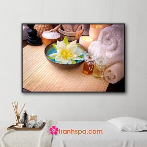 Mẫu tranh spa đẹp hình ảnh hoa sen, tinh dầu, muối tắm, nến thơm...