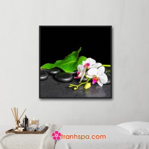 Mẫu tranh trang trí spa đẹp khổ vuông hình ảnh cánh hoa lan trắng và lá xanh nổi bật trên nền màu đen và những viên đá cuội