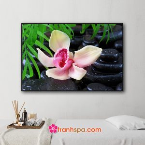 Mẫu tranh trang trí spa đẹp hình ảnh bông hoa lan và lá xanh trên nền những viên đá cuội đen vương nước trong tinh khiết