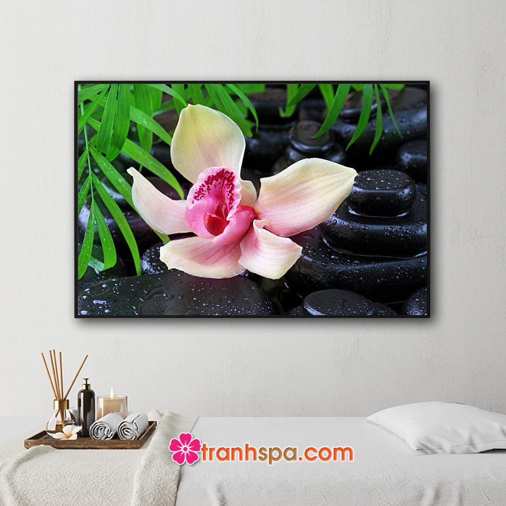 Mẫu tranh trang trí spa đẹp hình ảnh bông hoa lan và lá xanh trên nền những viên đá cuội đen vương nước trong tinh khiết