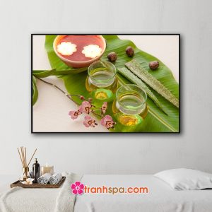 Mẫu tranh trang trí spa đẹp hình ảnh chậu nước, tinh dầu thơm, hoa lan, nha đam...đặt trên tàu lá chuối xanh