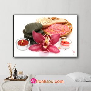 Mẫu tranh trang trí spa đẹp hình ảnh đá cuội đen, bát muối hồng và bàn chải, hoa lan và nến thơm...