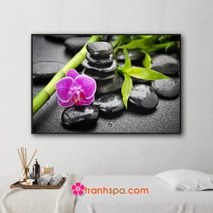 Mẫu tranh trang trí spa đẹp hình ảnh cành lộc xanh, hoa lan tím và đá cuội đen vương nước tinh khiết