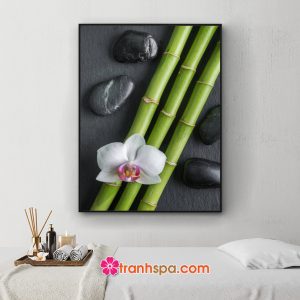 Mẫu tranh spa khổ dọc đẹp hình ảnh những cây lộc xanh đặt chéo, cành hoa lan trắng và những viên đá cuội đen bóng trên nền màu đen